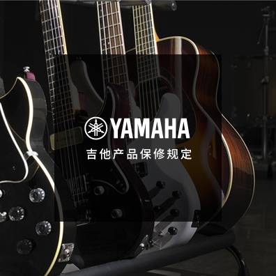 吉他、贝斯和音箱