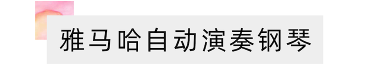 活动报道 | “科技助力，跨越时空”，小鹿纯子携手刘明康共享中日音乐盛宴